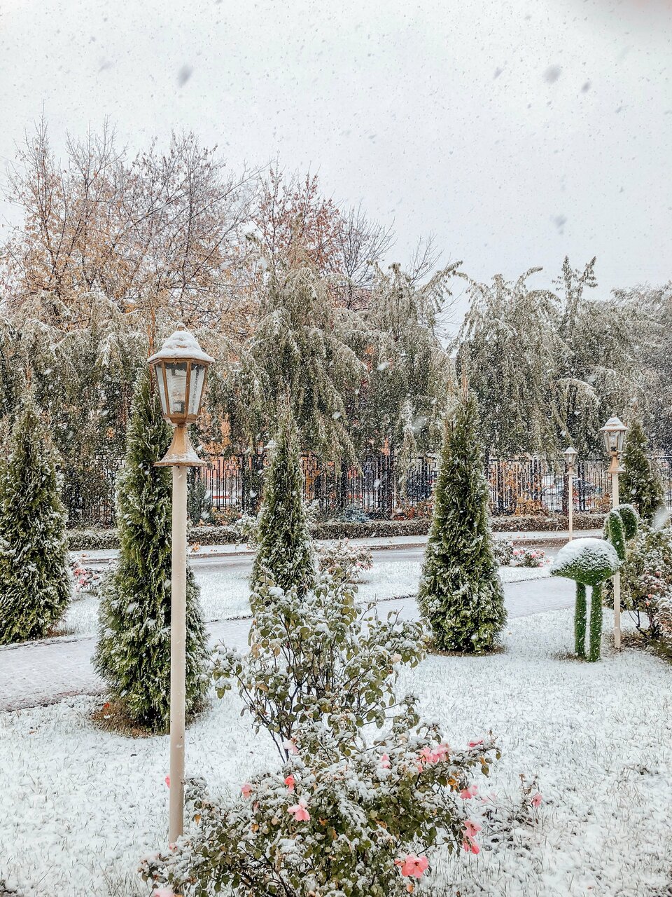 Гостиница Зуевский Орехово-Зуево-113