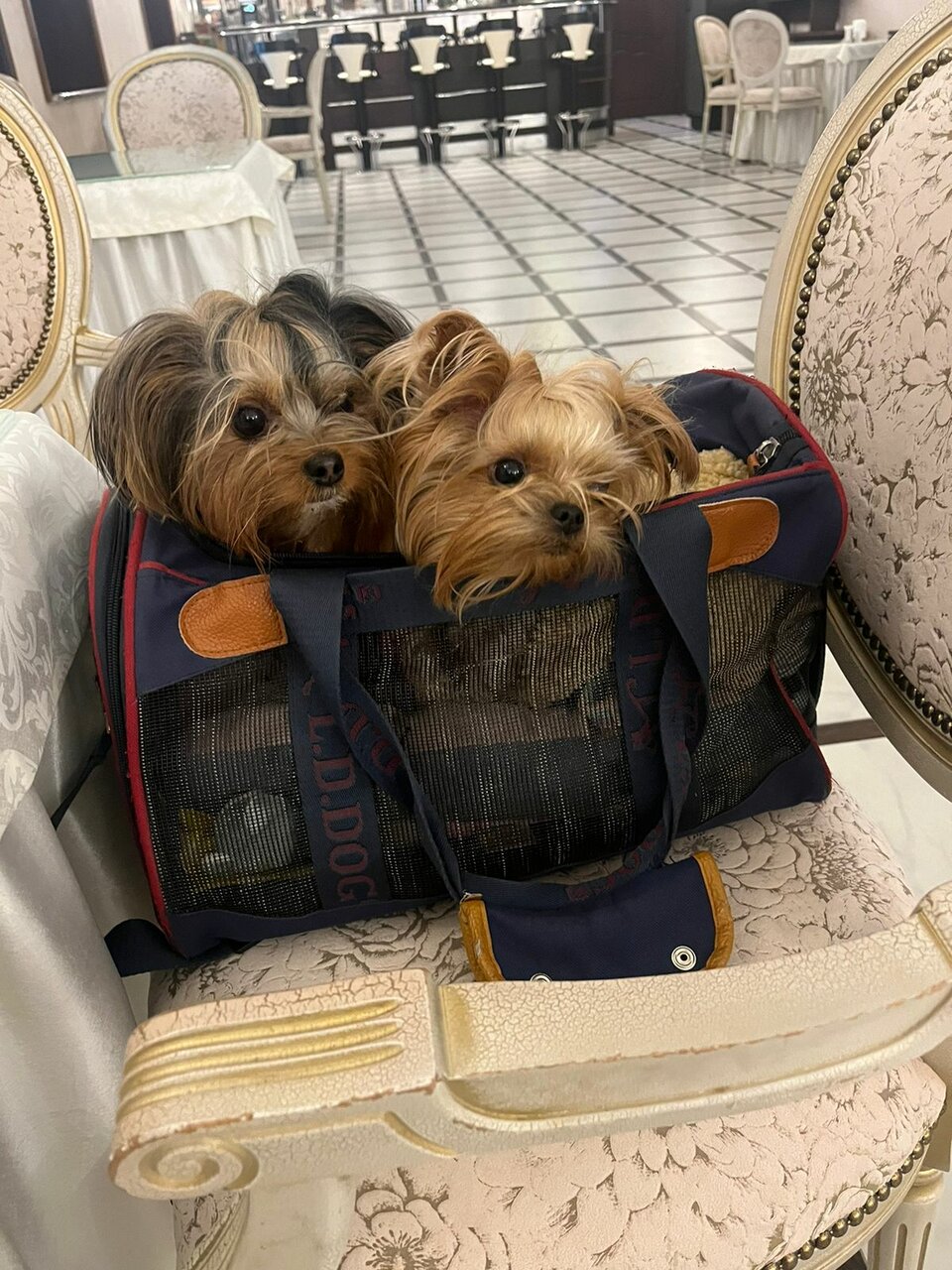 Гостиница Зуевский Орехово-Зуево-33