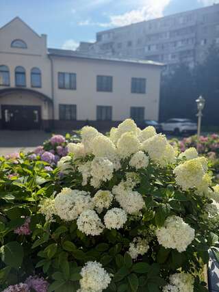 Гостиница Зуевский Орехово-Зуево-5