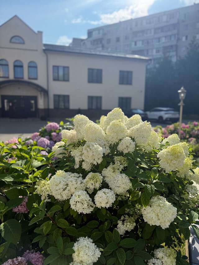 Гостиница Зуевский Орехово-Зуево-8