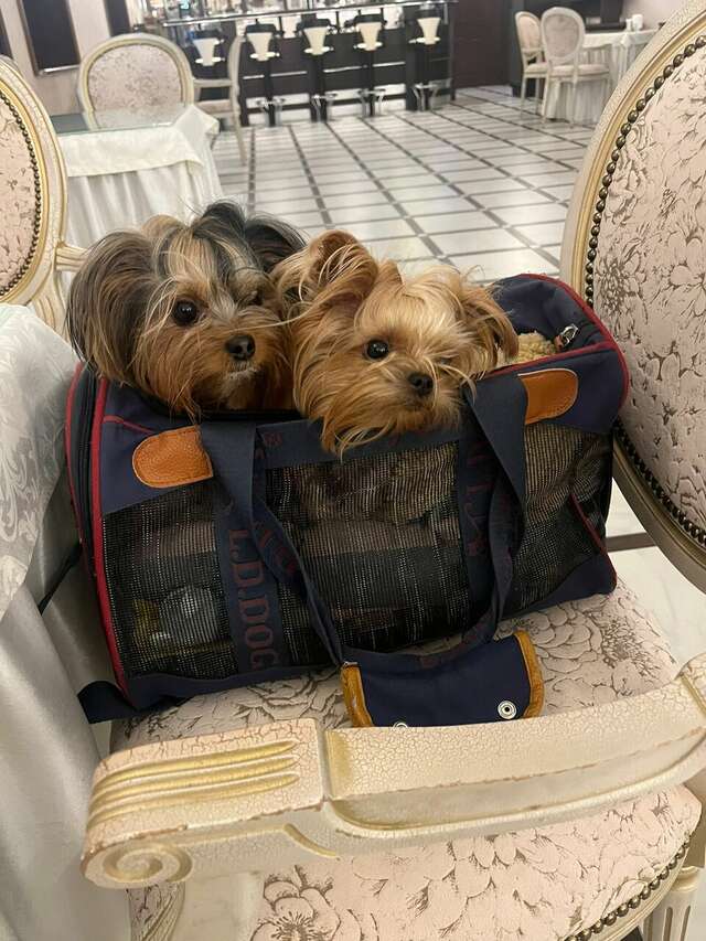 Гостиница Зуевский Орехово-Зуево-32